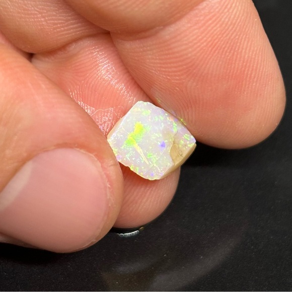 Smaller Top Grade Brazilian Horca Cutters & Chips for Jewelry/Inlays/Mosaics - Picture 7 of 14